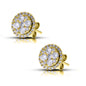 14K 0.66-0.73CT D-EARRING