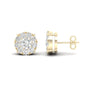 SPL PRICE 14KT 0.50CT D-EARRINGS